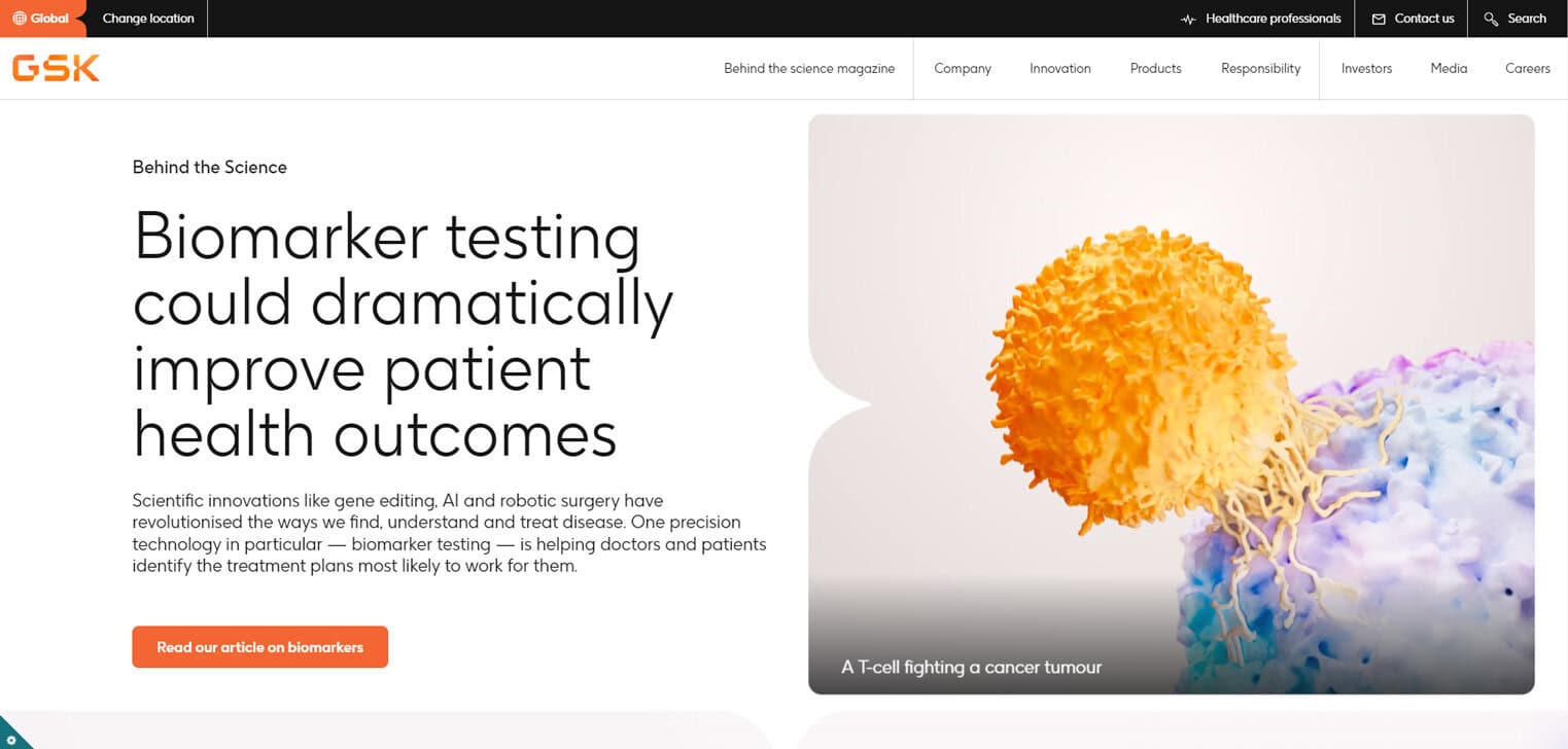 AI and ML technology company specializing in innovative solutions.