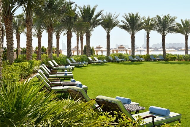 Beachside relaxation area with palm trees and sun loungers for guests.