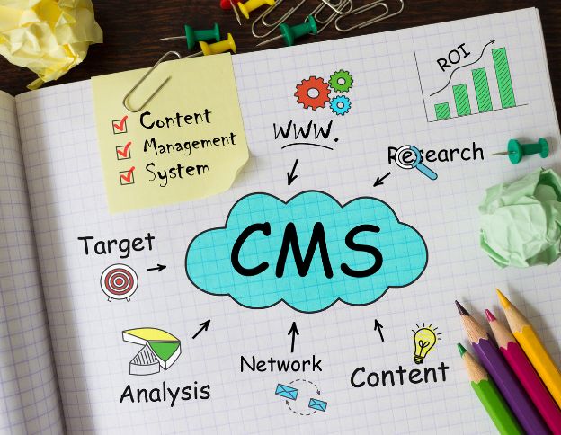 Advanced CMS development solutions for optimized content management.