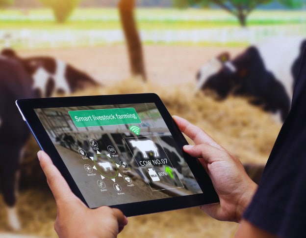 Powered tablet displaying smart livestock farming data in a farm setting.