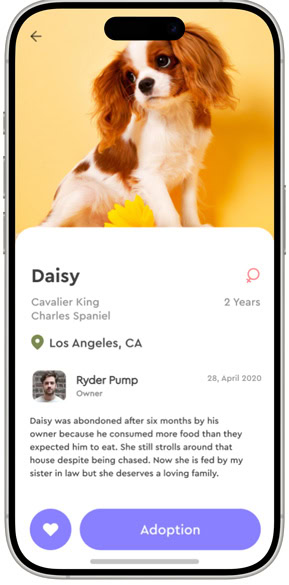 Pet adoption app screen showing Daisy, a 2-year-old Cavalier King Charles Spaniel.