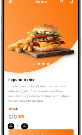 Mobile food ordering app showcasing burger and fries on screen.